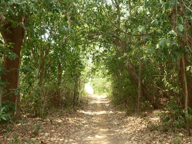 trekking karimunjawa
