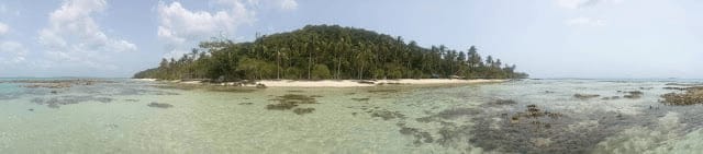 palmeras karimunjawa
