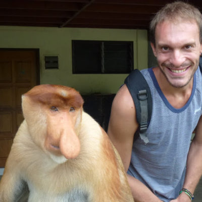 Orangutanes y Monos Narigudos. Increíble verlos en libertad. Paraíso animal en Sepilok – Sandakan, Borneo