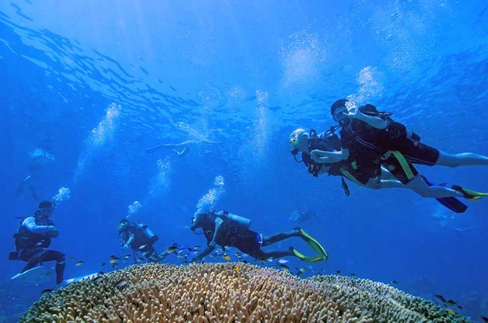 gran-barrera-coral-australia-mi-aventura-viajando-11