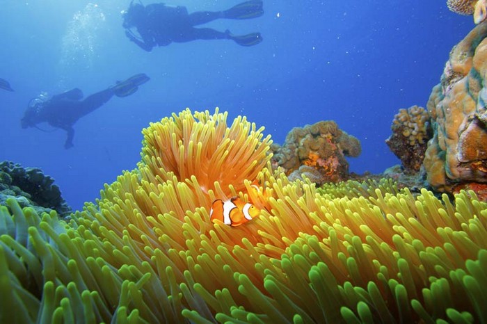 gran-barrera-coral-australia-mi-aventura-viajando-12