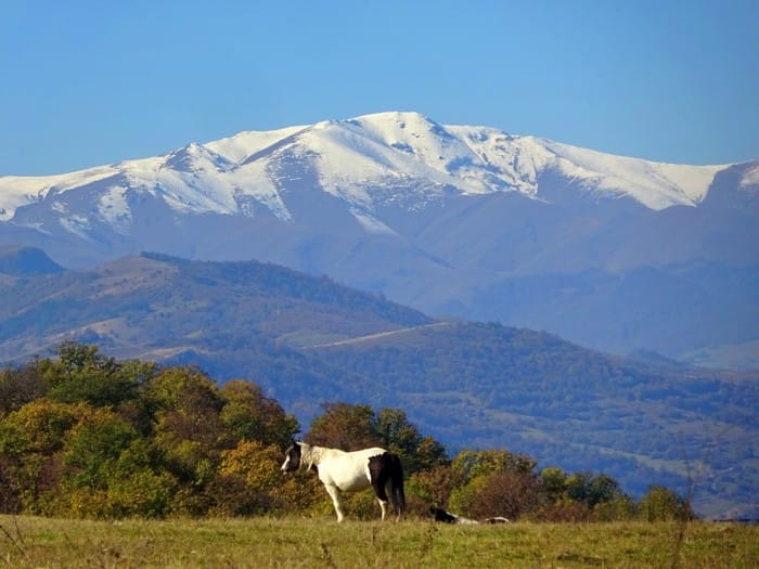 lori armenia