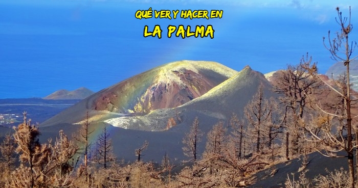 que ver la palma