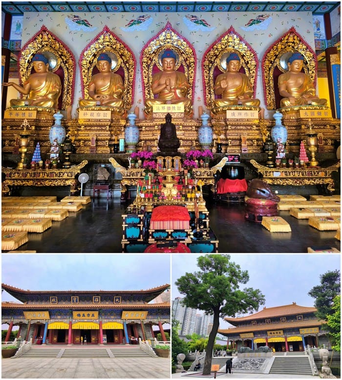 templo daxingshan xian