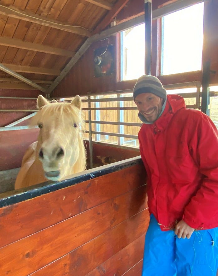 caballos islandia