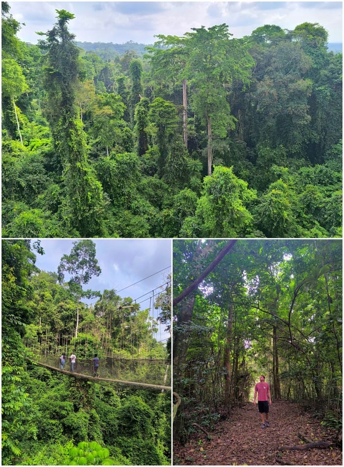 parque nacional kakum