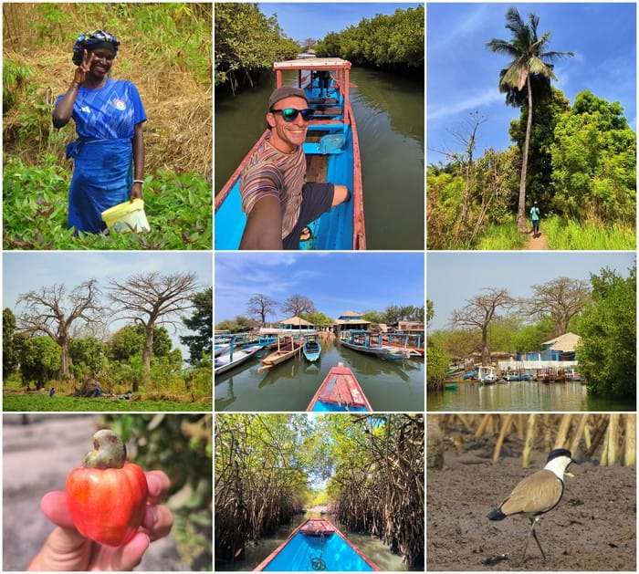lamin lodge gambia