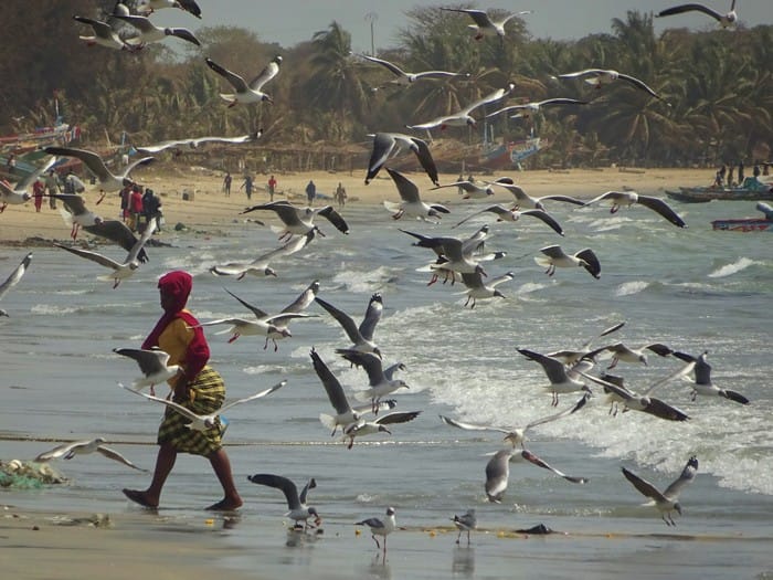 tanji gambia