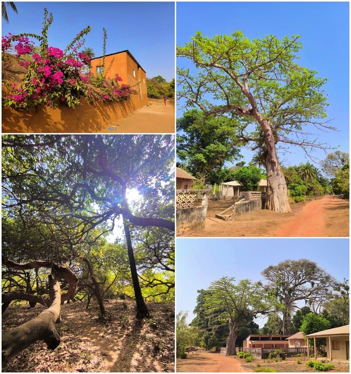 bubaque bijagos