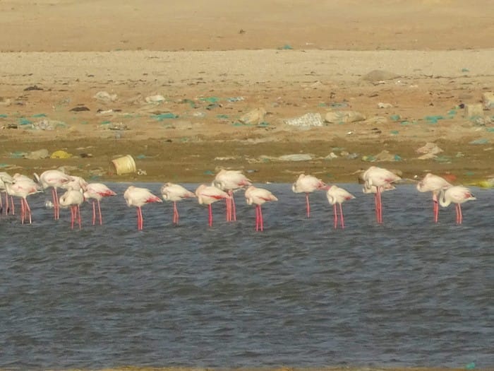 nouadhibou
