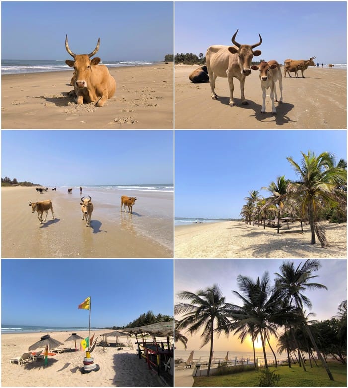 cap skirring senegal