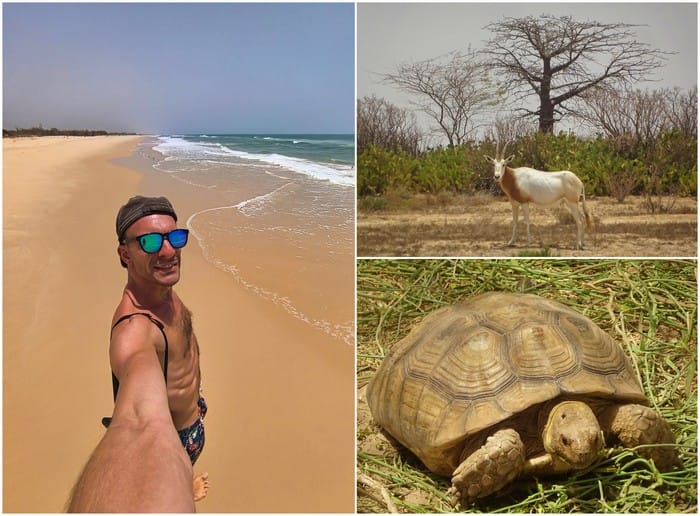 que hacer senegal