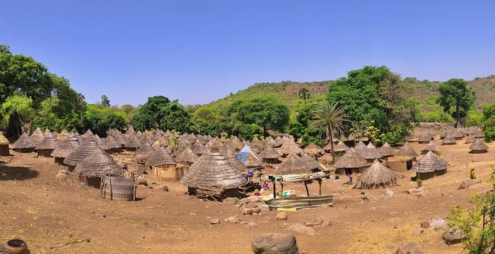 pays bassari